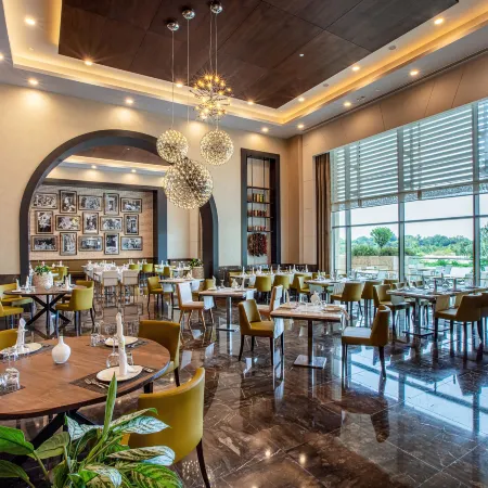 Regnum Carya