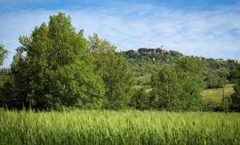 B & B 8380 - Pian Del Molino