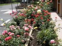 Garden Inn and Suites Glendora Hotels in Azusa