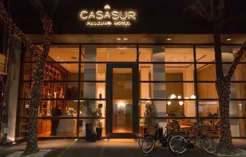 CasaSur Palermo Hotel - Pools
