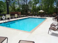 Hampton Inn & Suites Opelika-I-85-Auburn Area - Pools