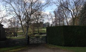 a grassy field with a large tree in the background and a gate at the entrance at Chalk and Cheese