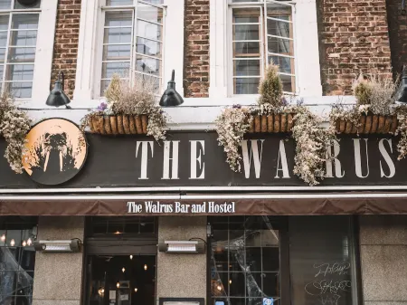 The Walrus Bar and Hostel