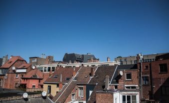 a city with many red - brick buildings , some of which have satellite dishes on their roofs at Hotel Carlton