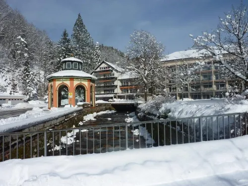 GesundheitsHotel Das Bad Peterstal Hotel a Bad Peterstal-Griesbach