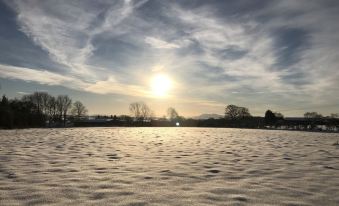 a vast , snowy field with trees and mountains in the background , under a partly cloudy sky at The Rodney