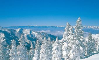 Shiga Kogen Olympic Hotel