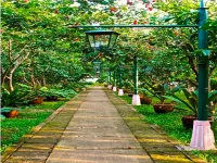 Sulyap Bed & Breakfast – Casa de Alitagtag Boutique Hotel Hotel a Alaminos