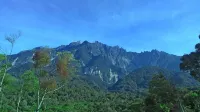 T Paradise Hotel di Kundasang