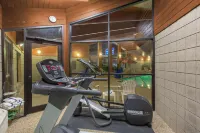 Spark by Hilton Cedar Falls - Kuntosalit