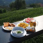 101 Tea Green View