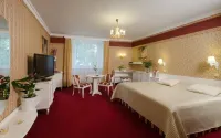 Hotel Ostrov Các khách sạn ở Podebrady