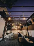 Mushrooms - Hostels