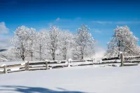 Alpenwelt