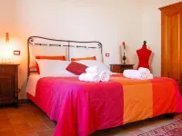 Linearis C - Homestays