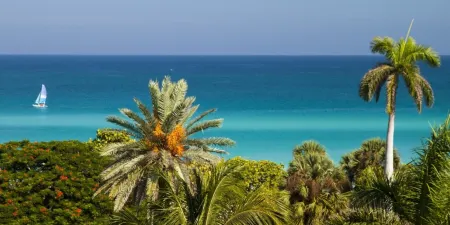 Occidental Arenas Blancas