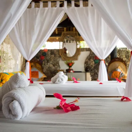 Dolphin House Resort Spa Diving