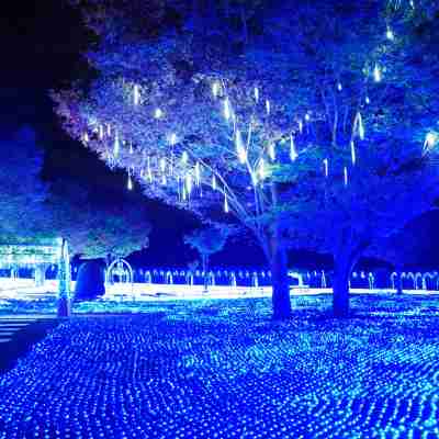 ハイジの村クララ館 Others