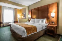 Comfort Suites Madison West Hotels in Middleton