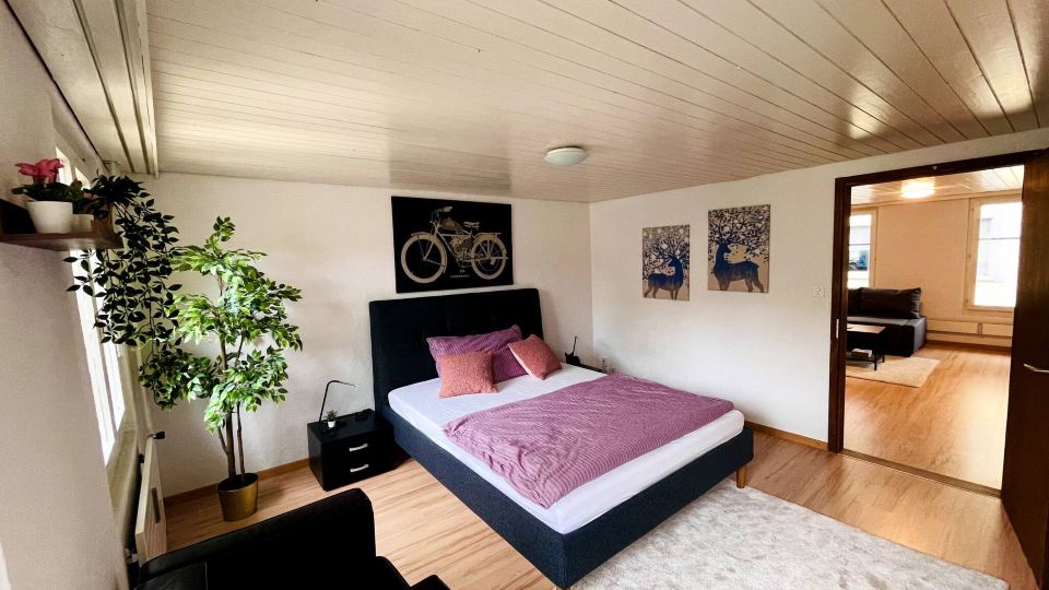 Newly Furnished Beautiful Old Building Apartment in the Center with Apple TV