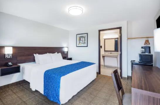 トラベロッジ バイ ウィンダム ニューポート のホテル