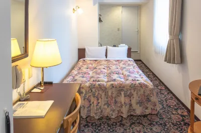 Daily Hotel Asaka Ekimae