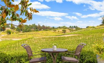 Gaia Inn & Spa- Adults Only- Temecula Wine Country