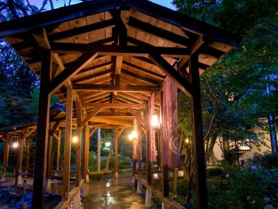 共有エリア 美食と自家源泉を愉しむ静寂の宿　秘湯・鷹ノ巣温泉　鷹の巣館の写真