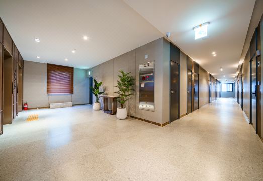 하운드 호텔 정관점