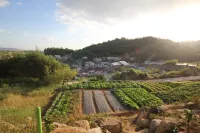 順天灣巴拉姆伊恩德度假村 順天市住宿飯店