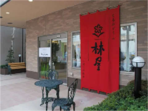Hotel Hayashiya
