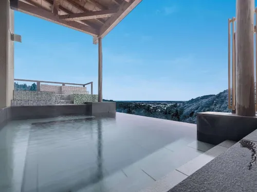 Hotel Oyanagi - Yüzme Havuzu