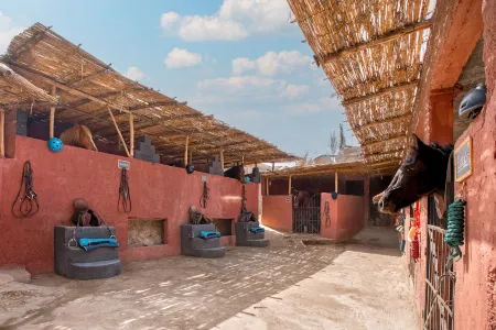 The Fattoria Ecolodge Отели рядом с достопримечательностью «Lets Go 2 Morocco»