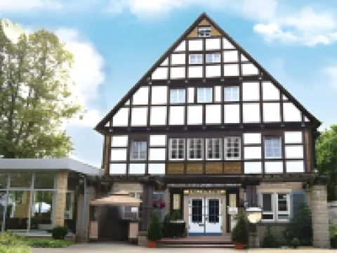 薩登霍夫阿肯森特飯店