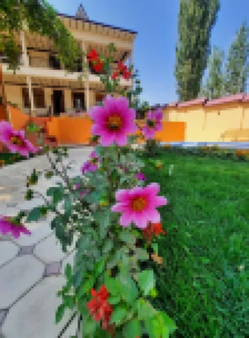 Зона отдых Apachi в горах ЧИМГАН Hotels in 