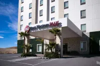 Best Western Plus Chihuahua Juventud Hotels in Chihuahua