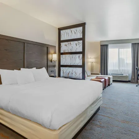 Comfort Inn & Suites Brighton Denver NE Medical Center