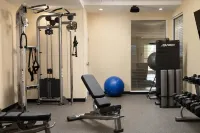 TownePlace Suites by Marriott Memphis Olive Branch - Træningscentre