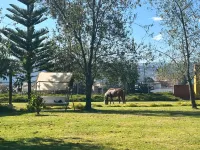 Grandfather´s Farm - Disfruta de la Naturaleza en un Lindo Flat. Hotels in 