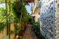 Casa Amore Aqua Sol