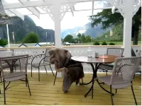 Eidfjord Gjestgiveri Hotels in Eidfjord
