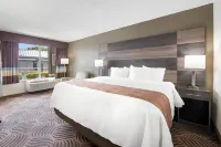 Quality Inn Concord Kannapolis Hotels in Concord