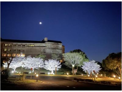 施設外観 都リゾート 奥志摩 アクアフォレスト (旧ホテル近鉄アクアヴィラ伊勢志摩)の写真