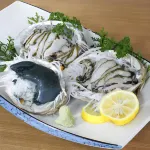 Onsenminshuku Kosakaya