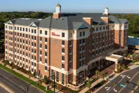 Hilton Garden Inn Charlotte/SouthPark - bar