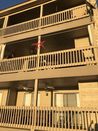 Adorable waterfront condo, private docks, and bring the dog!