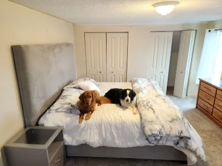 Spacious Family Farmhouse Отели в г. Алансон