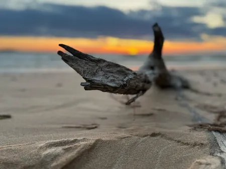 Waterfront home on Eufaula - WHITE SANDY BEACHES and amazing outdoor patio/bar!