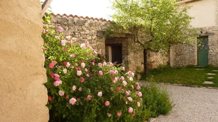 La Grange des Davids - Holiday house in Provence