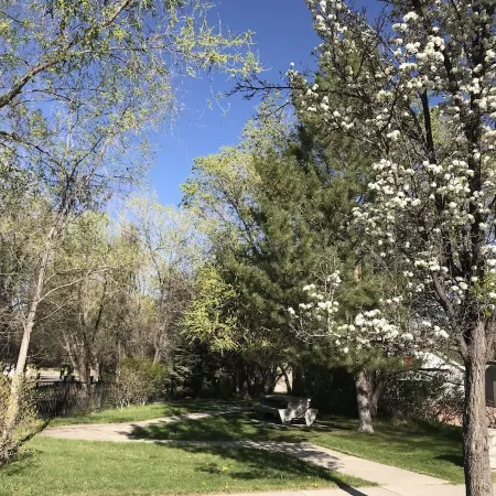 🤩king w/kitchen+washer/dryer+queen sleeper 🥾(15 mi maple canyon250mbps wi-fi
